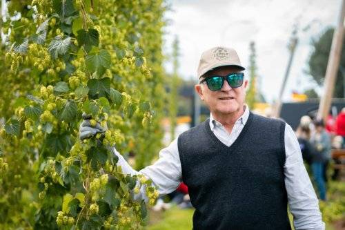 Lúpulo kunstmann 2024-66